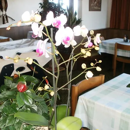 Pez Ault Отель Дизентис