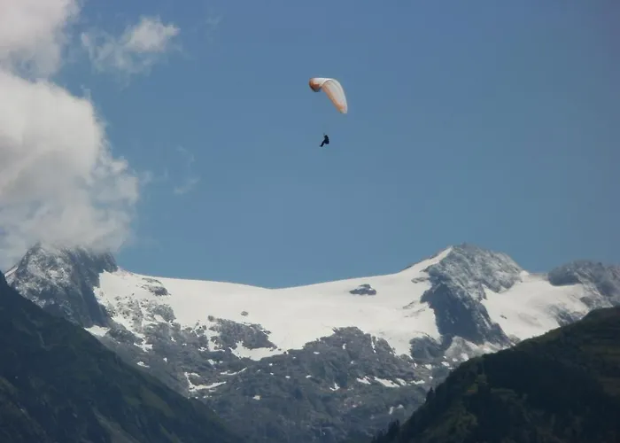 Pez Ault 3* Disentis