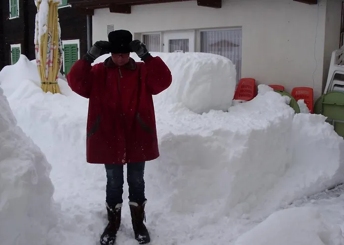 Pez Ault 3* Disentis