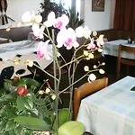Péz Ault Hotel Disentis