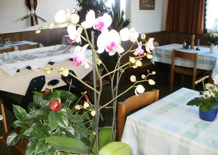 Pez Ault Hotel Disentis