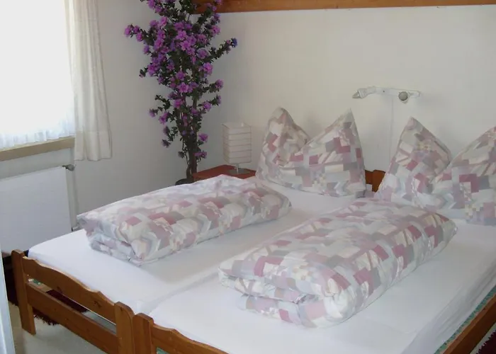 Pez Ault Hotel Disentis